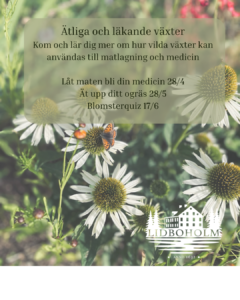 Ätliga läkande växter