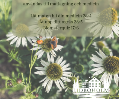 Ätliga läkande växter